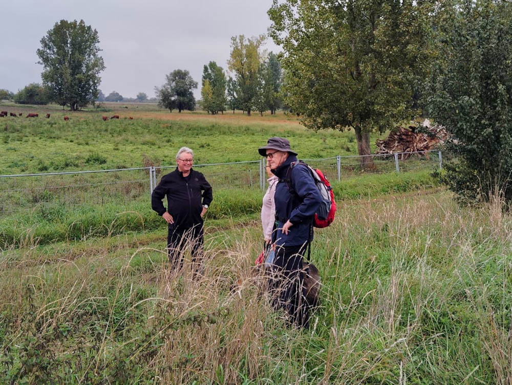20250928 NF-Pfungstädter Moor_Sabine - 7.jpg