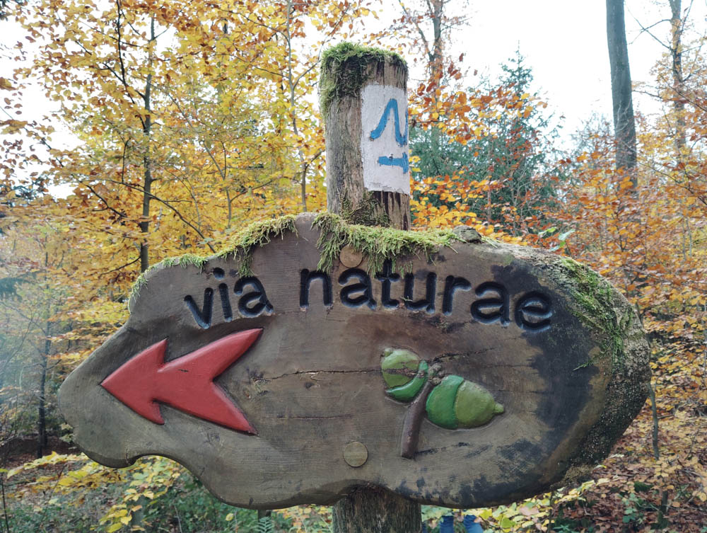 20251101 NF_Letzte Einkehr_Sabine - 7.jpg