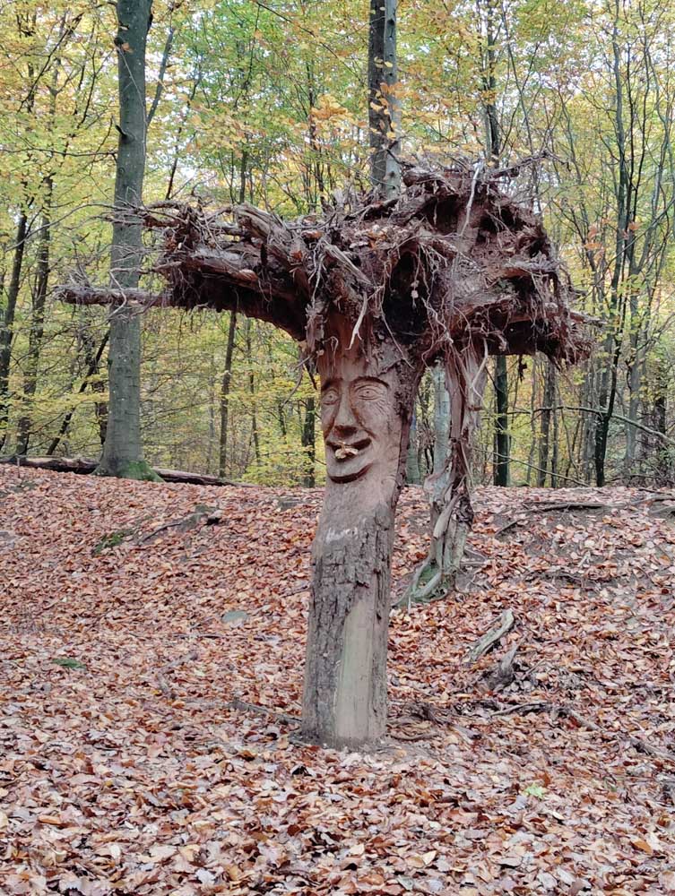 20251101 NF_Letzte Einkehr_Sabine - 8.jpg