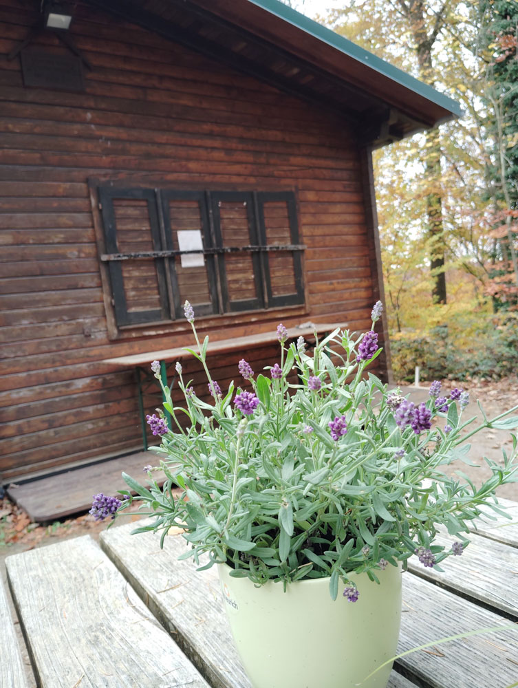 20251101 NF_Letzte Einkehr_Sabine - 10.jpg