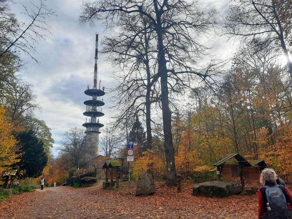 20251101 NF_Letzte Einkehr-Anke-8.jpg