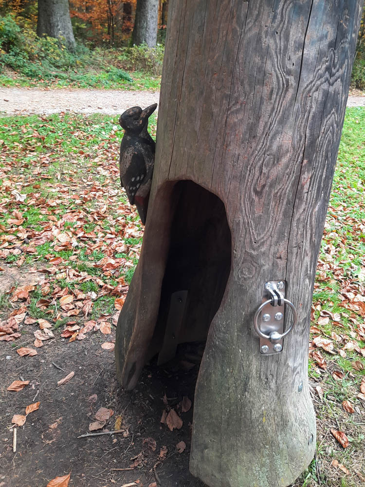 20251101 NF_Letzte Einkehr-Anke-13.jpg