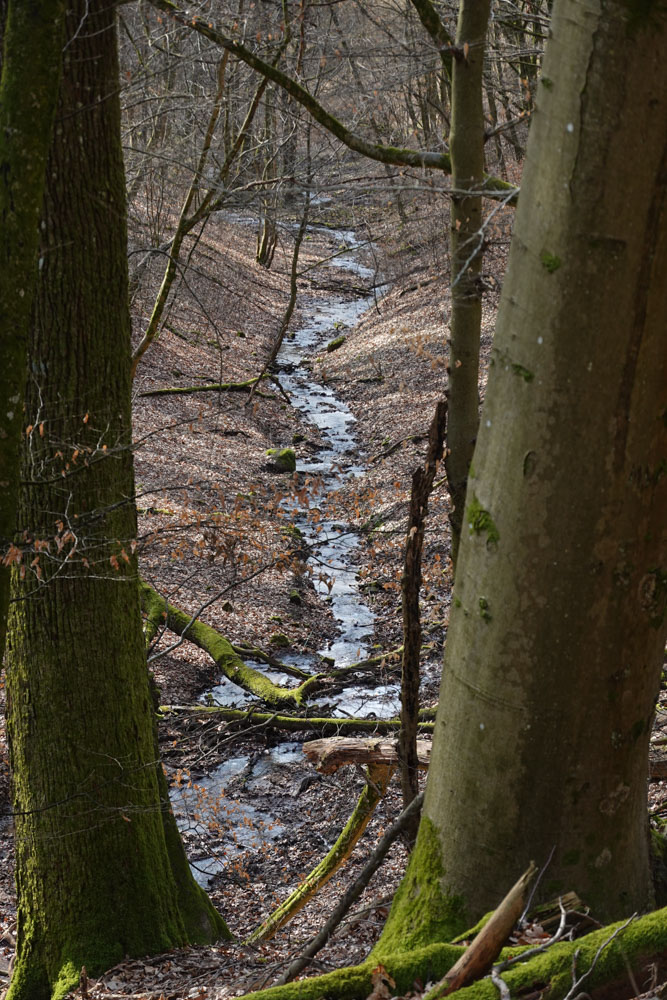 20260228 NF_Wagenbau_Karl-5.jpg