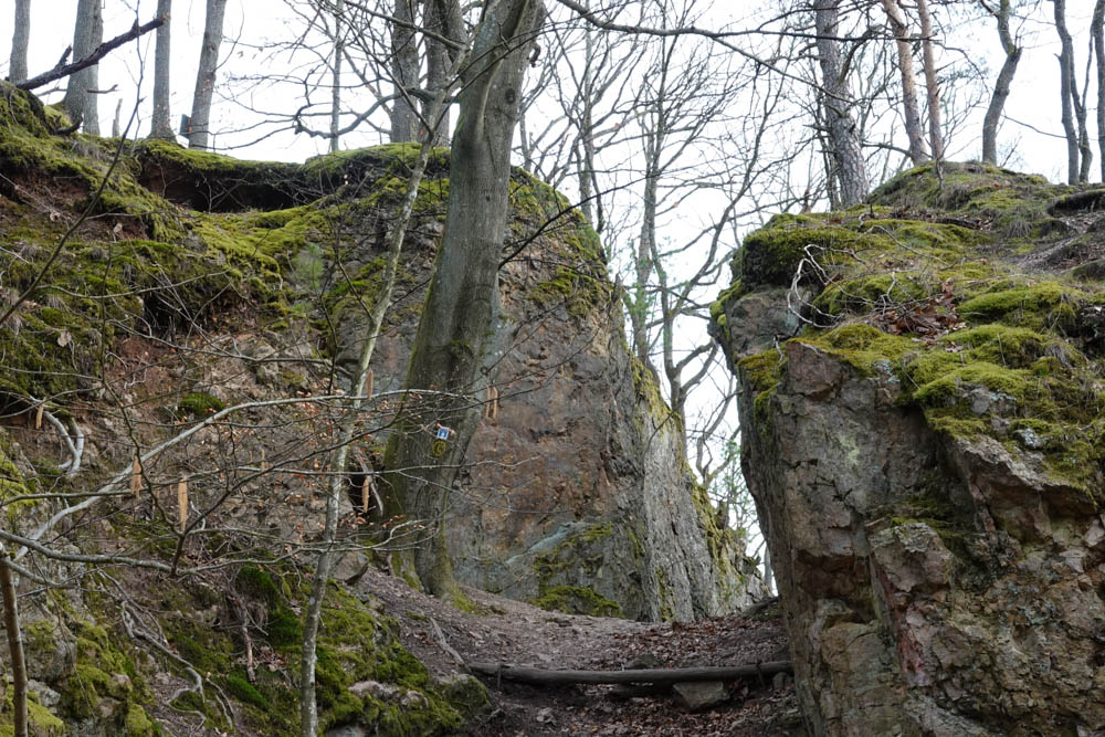 20260228 NF_Wagenbau_Karl-100.jpg