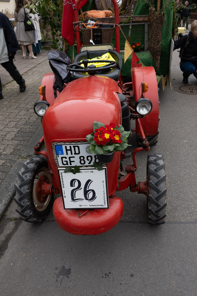 202603015 NF_Mathaisemarktumzug_Karl-32-12.jpg