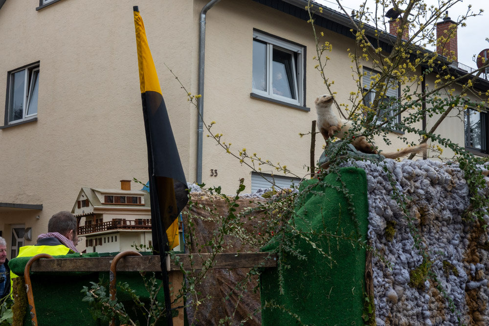 202603015 NF_Mathaisemarktumzug_Karl-32-47.jpg