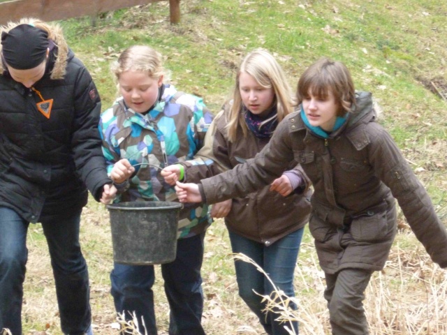 Insektenhotel_2012_004.jpg