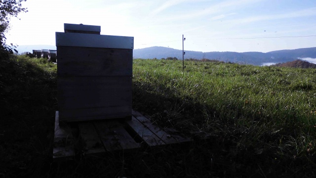Saisonabschlusswanderung_10-2014_009.jpg