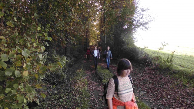 Saisonabschlusswanderung_10-2014_007.jpg