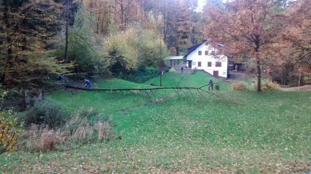 Arbeitseinsatz_11-2014_003.jpg