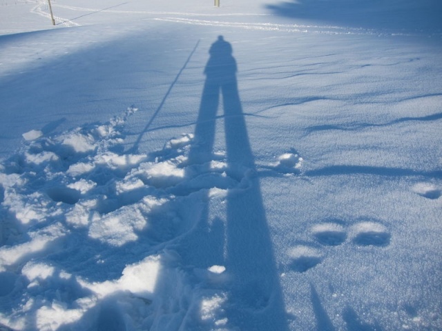Ski_Freizeit_Thalkirchdorf_02-2015_001.jpg