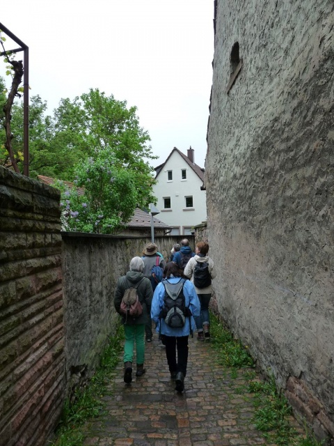 NaturErlebnistag_05-2015_007.JPG