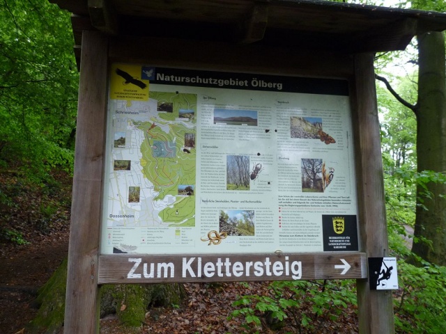 NaturErlebnistag_05-2015_041.JPG