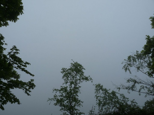 NaturErlebnistag_05-2015_046.JPG