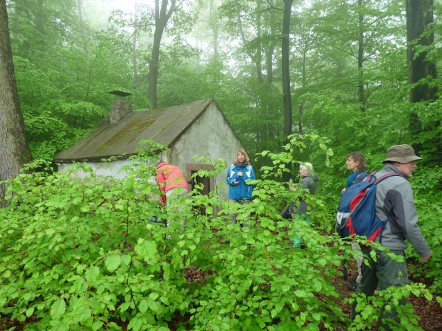 NaturErlebnistag_05-2015_054.JPG