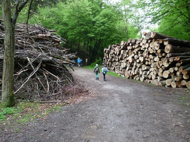 NaturErlebnistag_05-2015_065.JPG