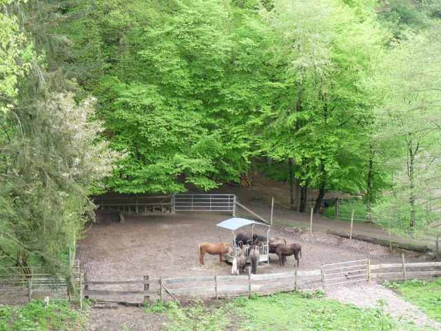 NaturErlebnistag_05-2015_068.JPG