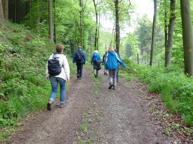 NaturErlebnistag_05-2015_069.JPG