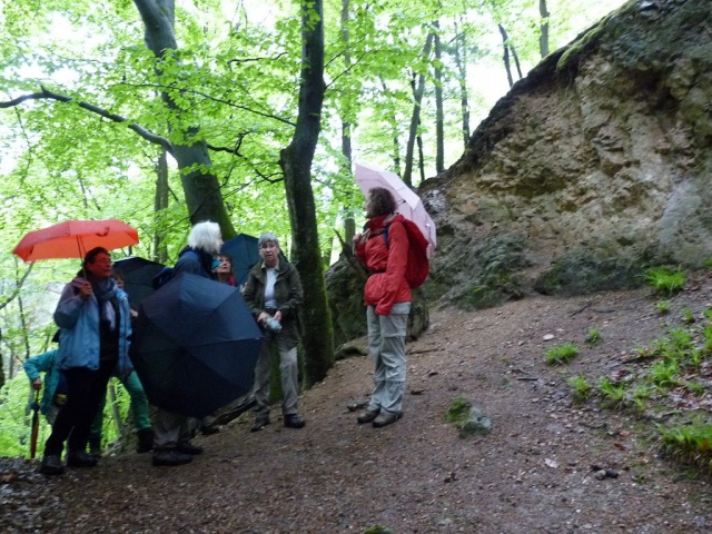 NaturErlebnistag_05-2015_074.JPG