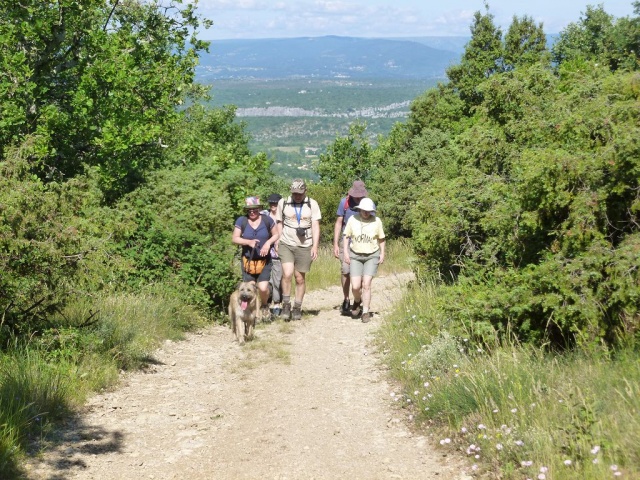 Ardeche_06-2015_013.JPG