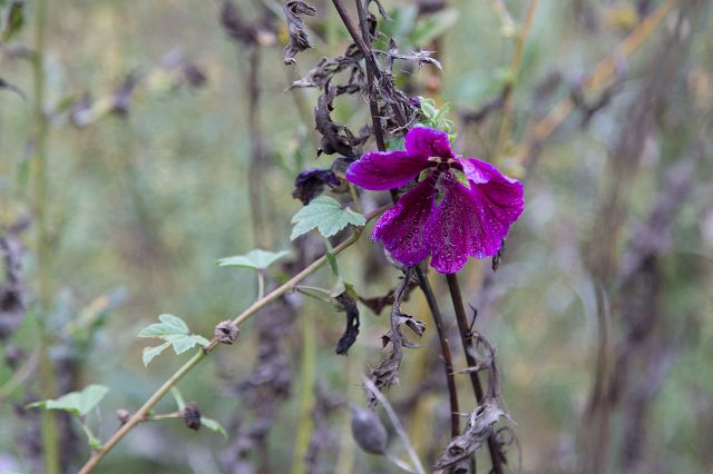 Kleines_Lautertal_10-2015_026.jpg