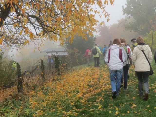 Saisonabschlusswanderung_11-2015_001.JPG
