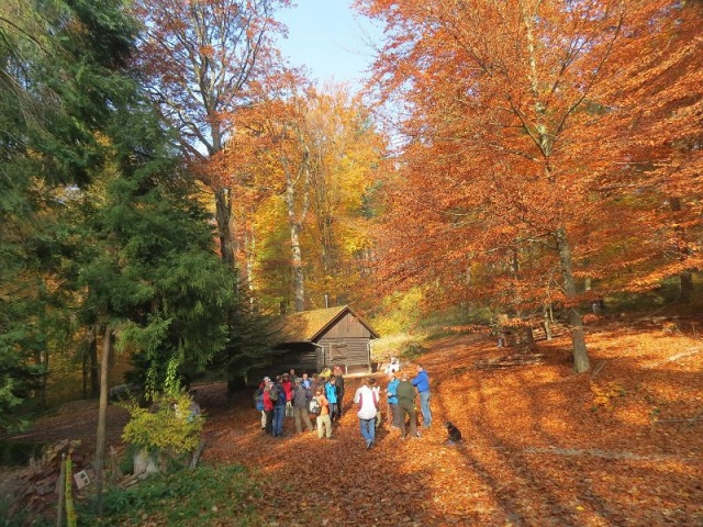 Saisonabschlusswanderung_11-2015_002.JPG