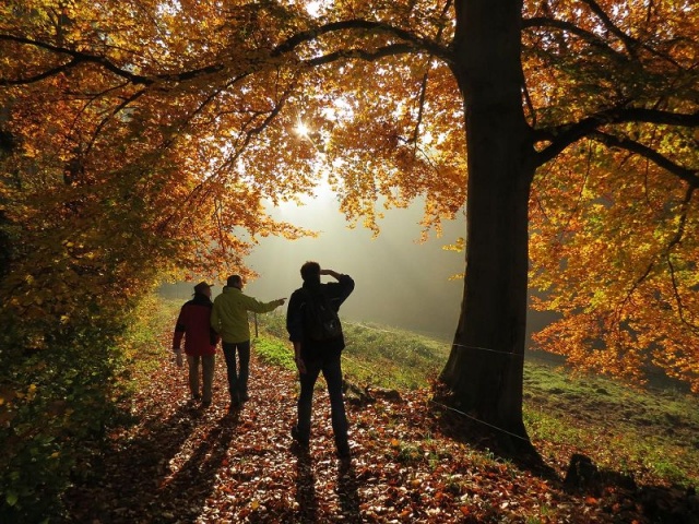 Saisonabschlusswanderung_11-2015_018.JPG