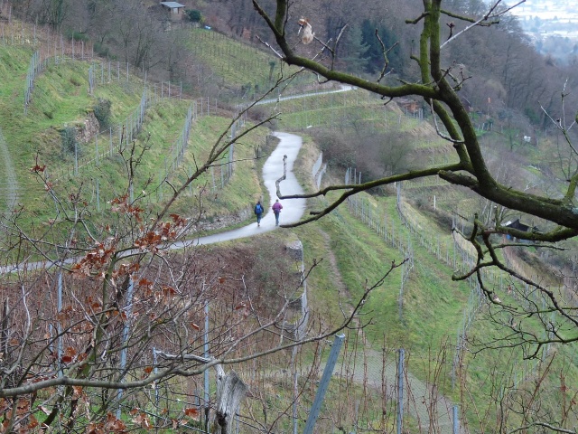Dreikoenigswanderung_01-2016_005.JPG