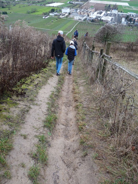 Dreikoenigswanderung_01-2016_044.JPG