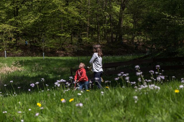 Naturfreunde 1. Mai 2016-21.jpg