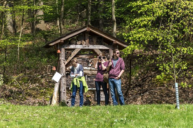 Naturfreunde 1. Mai 2016-39.jpg