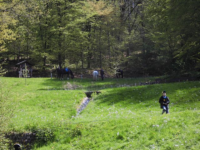 Naturfreunde_1_Mai 2016_056.JPG