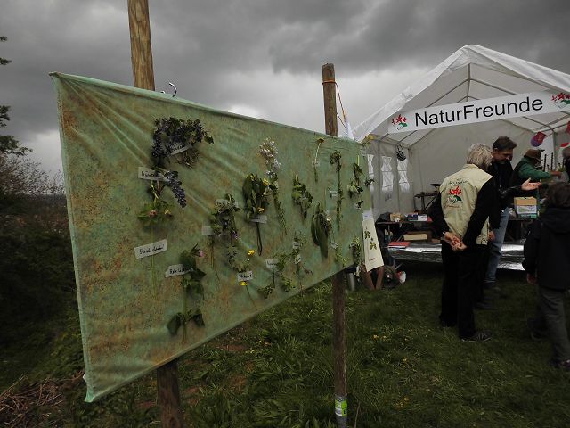 Bluetenwegseinweihung (15).JPG