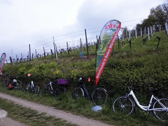 Bluetenwegseinweihung (9).JPG