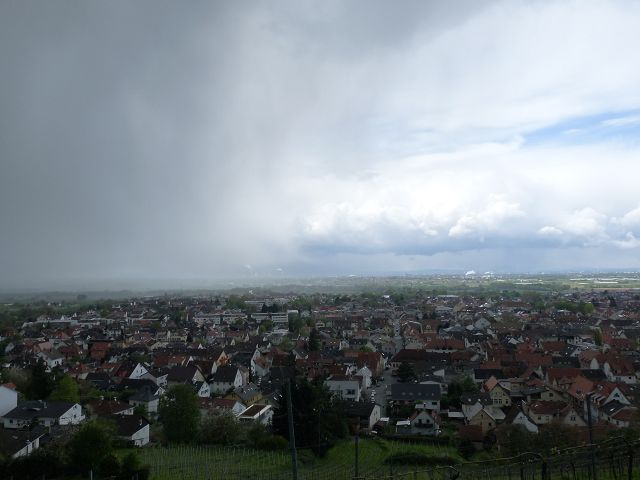 Bluetenwegseinweihung_04-2016_103 (1).JPG