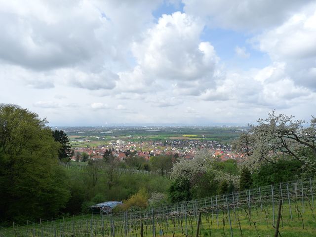 Bluetenwegseinweihung_04-2016_103 (10).JPG