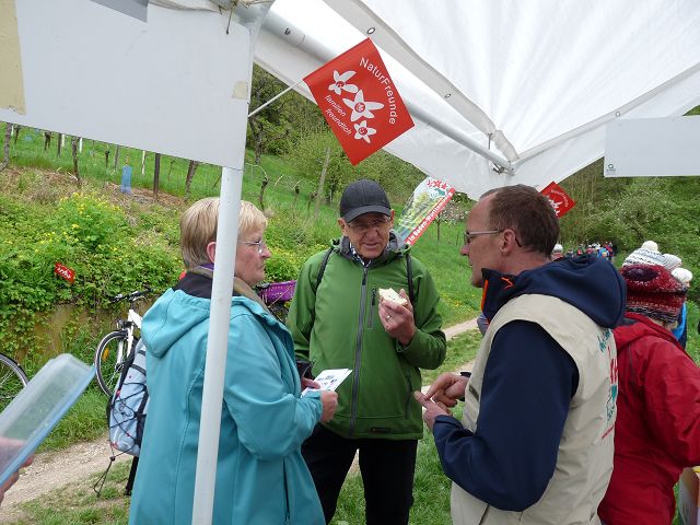 Bluetenwegseinweihung_04-2016_103 (16).JPG