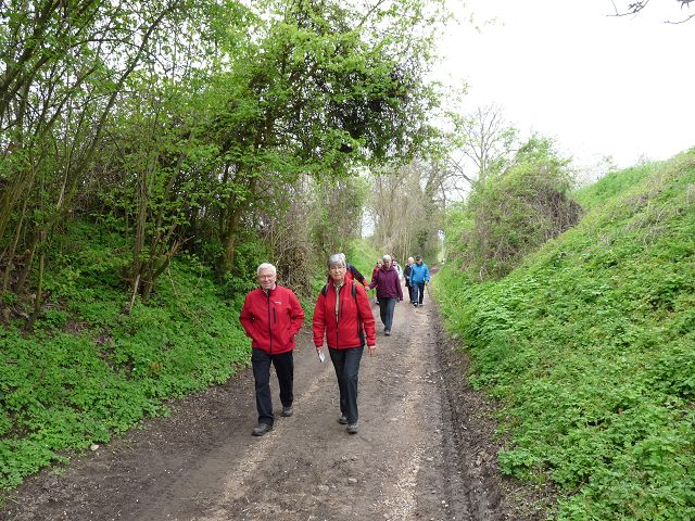 Bluetenwegseinweihung_04-2016_103 (2).JPG