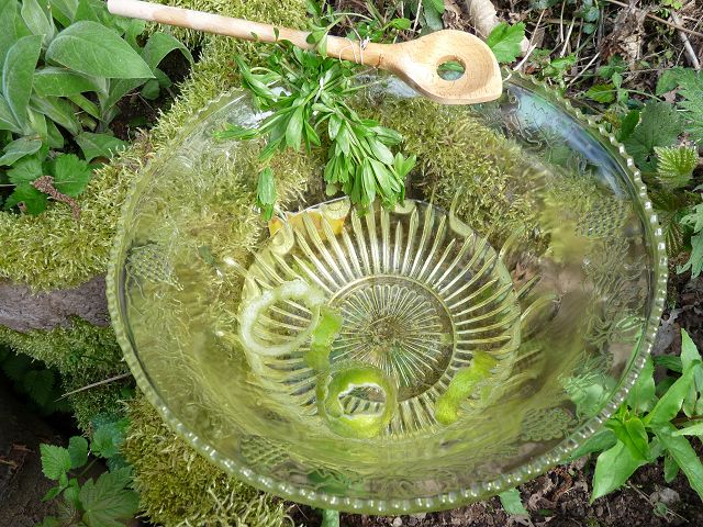 Naturfreunde_1_Mai 2016_109.JPG