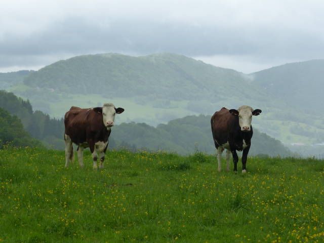 Jura_05-2016_184.jpg