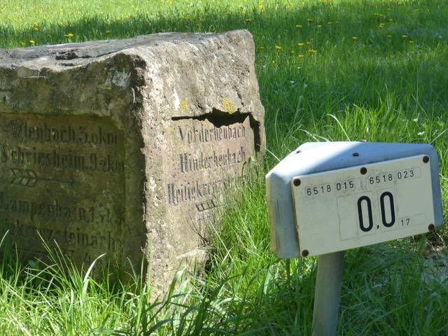 Naturerlebniswoche_05-2016_005.jpg