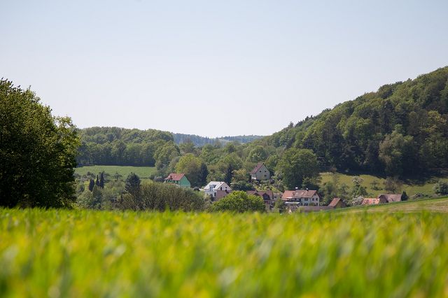 Naturerlebniswoche_05-2016_028.jpg