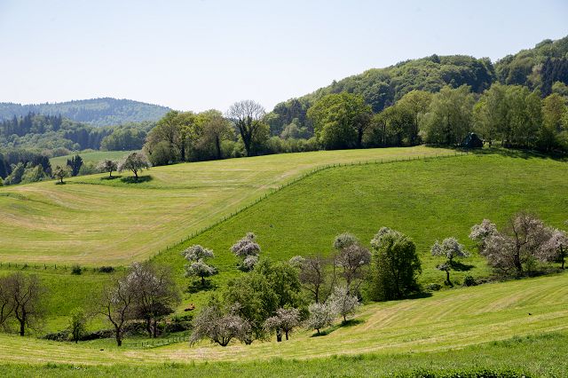 Naturerlebniswoche_05-2016_030.jpg