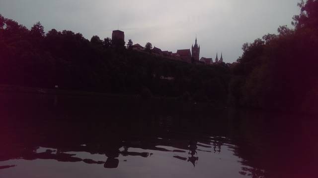 neckar-pic-2016-07-22-17-09-VF-895N-neckar004.jpg
