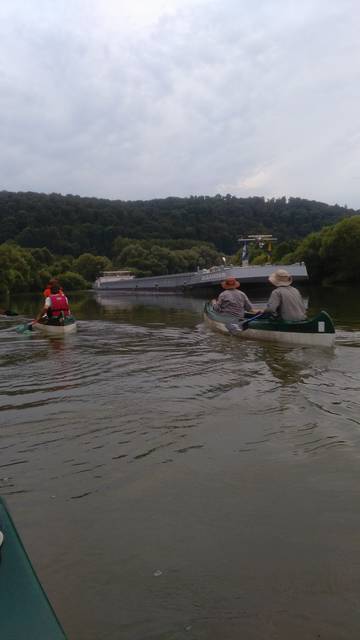 neckar-pic-2016-07-22-18-59-VF-895N-neckar020.jpg