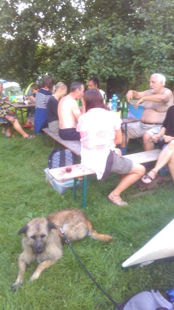 neckar-pic-2016-07-23-19-37-VF-895N-neckar103.jpg
