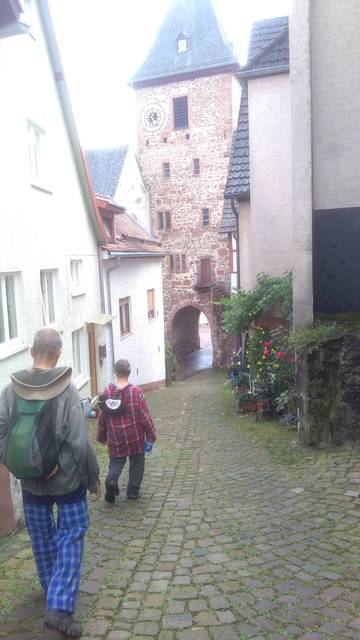 neckar-pic-2016-07-24-17-07-VF-895N-neckar130.jpg