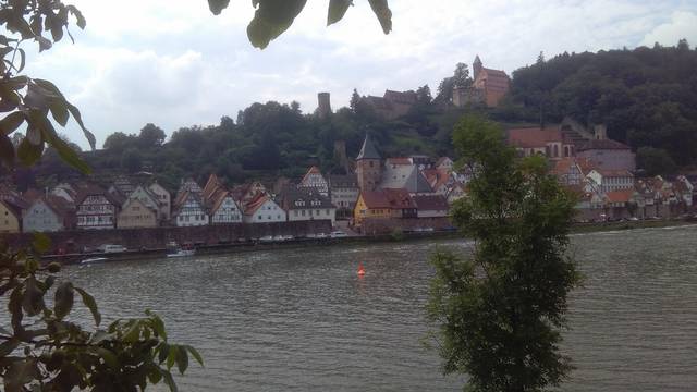 neckar-pic-2016-07-24-17-34-VF-895N-neckar133.jpg