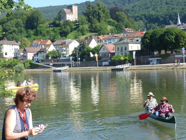 neckar-pic-2016-07-26-10-07-DMC-TZ36-p1120034.jpg